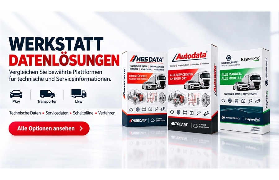 WERKSTATT DATENLÖSUNGEN